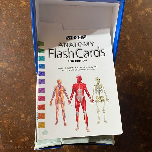 Barron’s Anatomy Flash Cards - 264 Full-Color Medical Study Cards, 2nd Edition - Picture 3 of 8